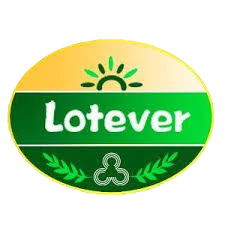 LOTEVER